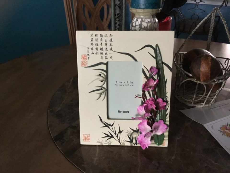 Cherry Blossoms on a frame