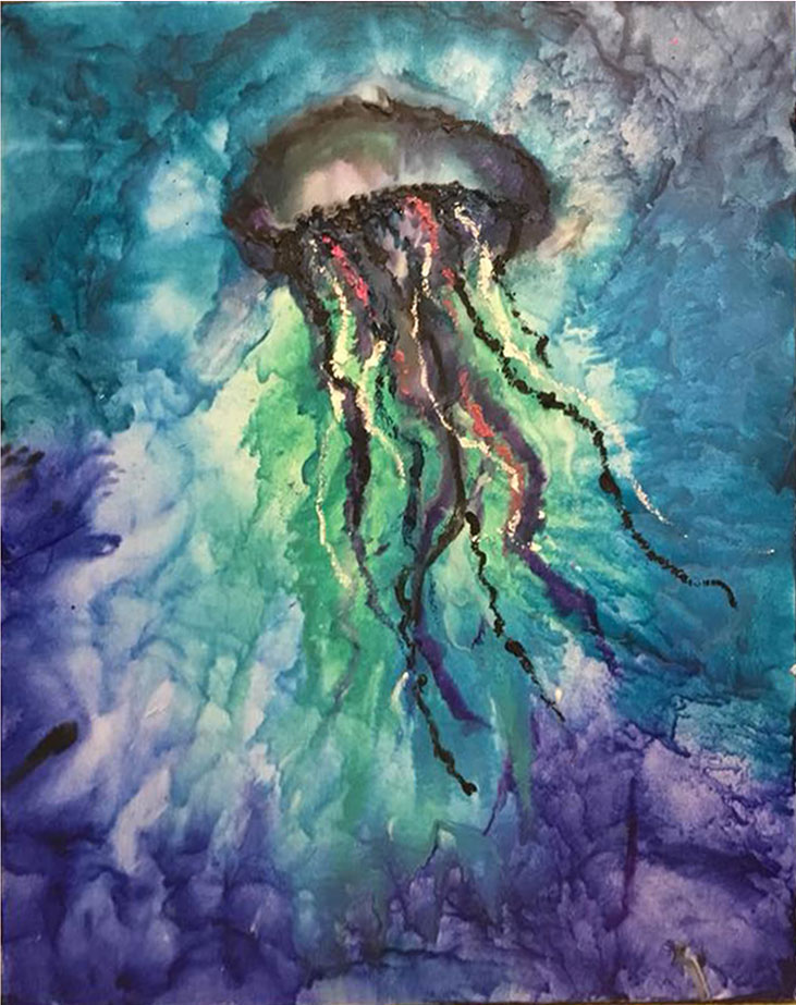 Jellyfish